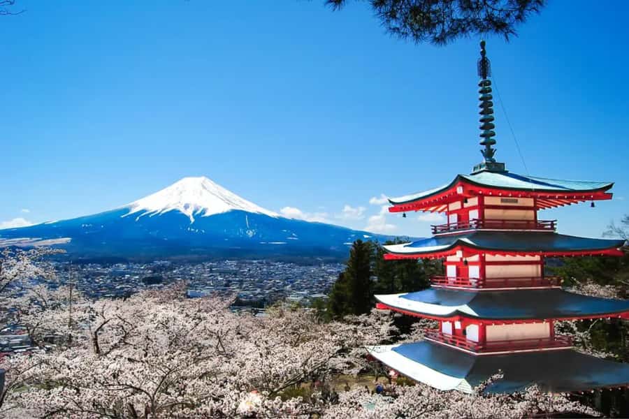 Mt. Fuji Private Day Tour: Luxury Car, Pagoda & Hidden Gems - Breaking Down the Itinerary: What Youll Actually See