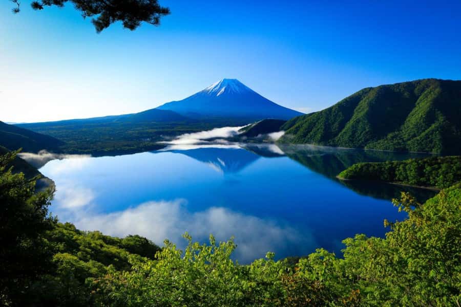 Mt. Fuji Private Day Tour: Luxury Car, Pagoda & Hidden Gems - Practical Considerations: Timing, Group Size, and Flexibility