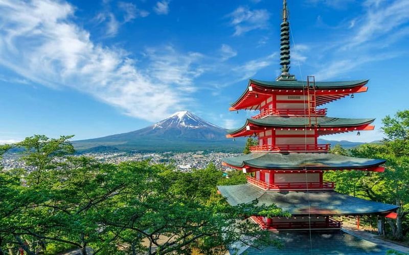 Mt Fuji Top 5 Spots Day Tour: Arakurayama Park,Oshino Hakkai - The Night Before: Get Your Driver and Vehicle Details