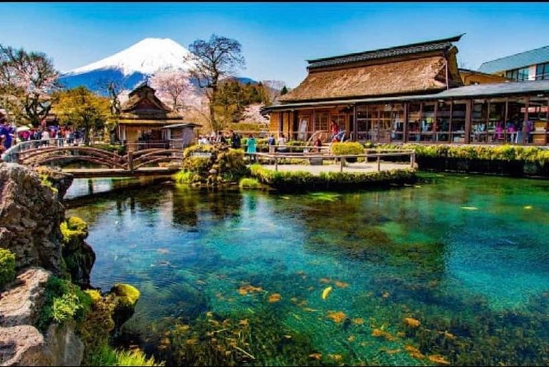 Mt Fuji Top 5 Spots Day Tour: Arakurayama Park,Oshino Hakkai - Arakurayama Sengen Park: The 397-Step Fuji Frame