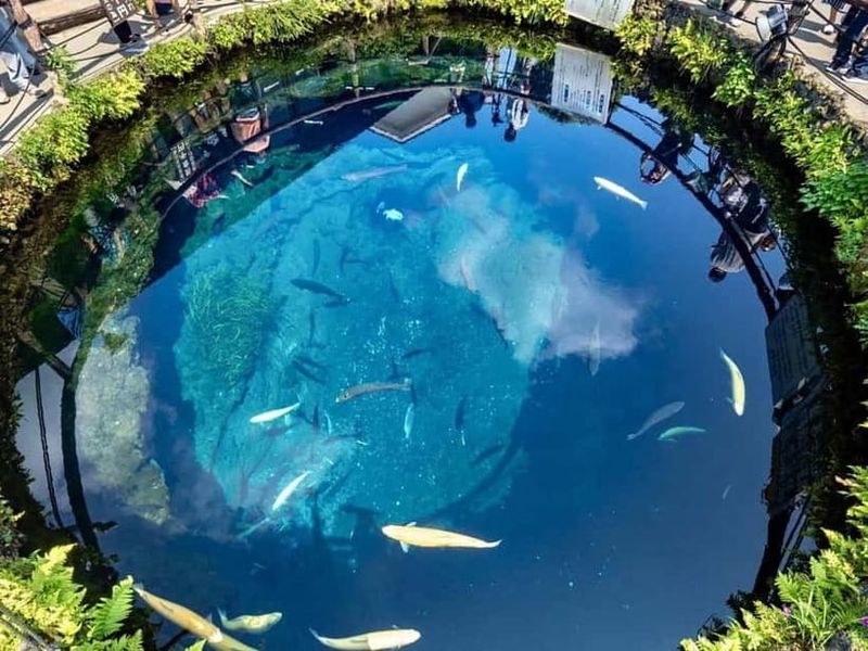 Mt Fuji Top 5 Spots Day Tour: Arakurayama Park,Oshino Hakkai - Arakura Shrine and Chureito Pagoda: Short Walk, Big Photo Payoff