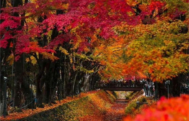 Mt Fuji Top 5 Spots Day Tour: Arakurayama Park,Oshino Hakkai - Hikawa Clock Shop: A Quiet Fuji Street Stop for Unique Photos