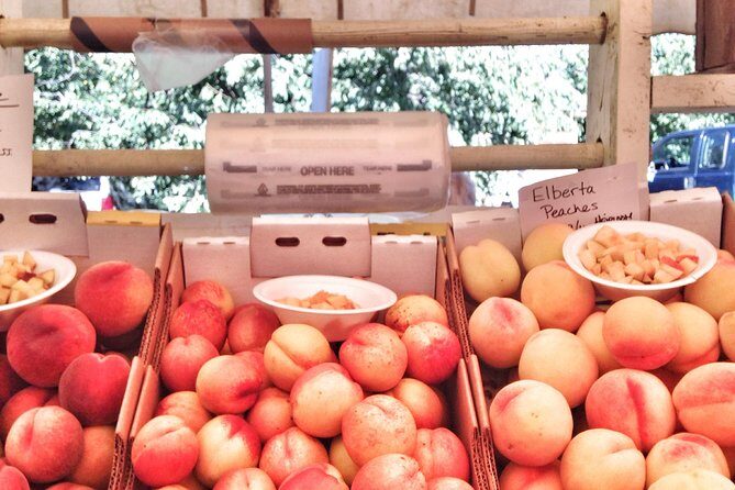 Mt Hood Day Trip from Portland to Multnomah Falls and Hood River - An In-Depth Look at the Itinerary and Experience