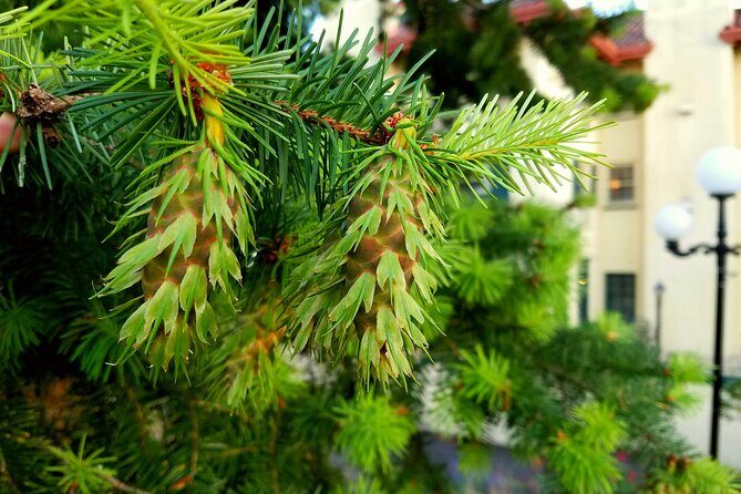 Mt. Hood Loop Tour from Portland - Who Should Consider This Tour?