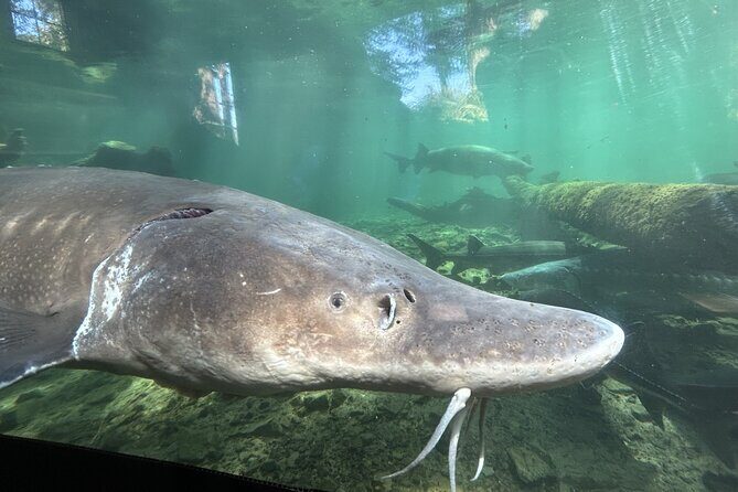 Mt Hood, Waterfalls, and Wine Tour with Tasting Fees Included - FAQs