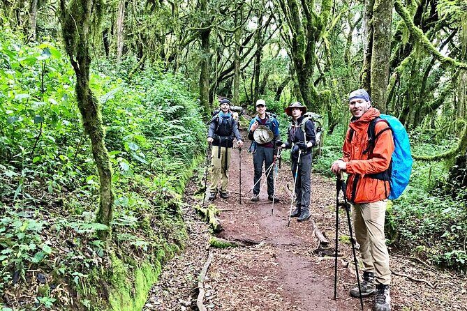 Mt Kilimanjaro Hiking via Marangu Route Day Trip - Key Points