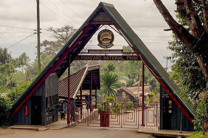 Mt Kilimanjaro Hiking via Marangu Route Day Trip - An In-Depth Look at the Mt Kilimanjaro Day Trip