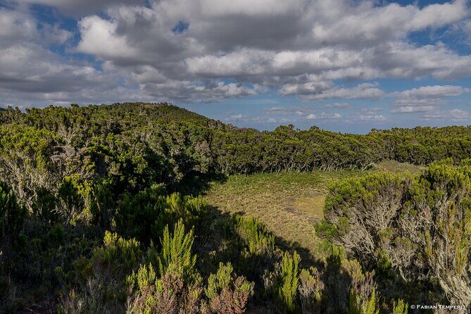 Mt Kilimanjaro Hiking via Marangu Route Day Trip - Who Would Enjoy This Tour?