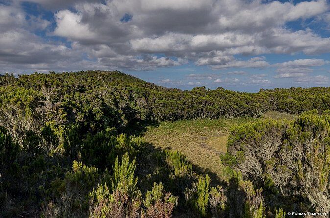 Mt Kilimanjaro Hiking via Marangu Route Day Trip - FAQs