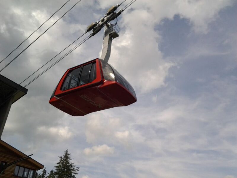 Mt. Pilatus Golden Roundtrip Private Day Trip from Basel - Who Is This Tour Best For?