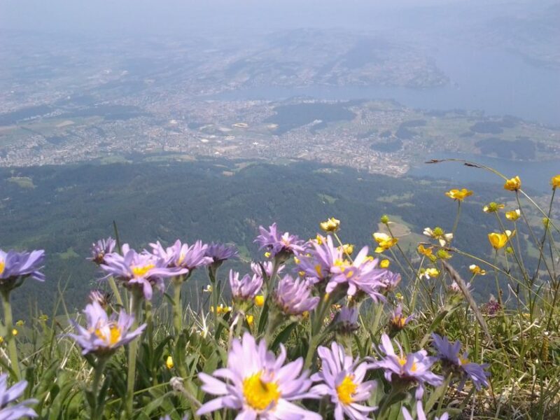 Mt. Pilatus Golden Roundtrip Private Day Trip from Luzern - Frequently Asked Questions