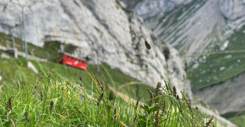 Mt. Pilatus & Lake Lucerne Private Tour | From Lucerne - Key Points