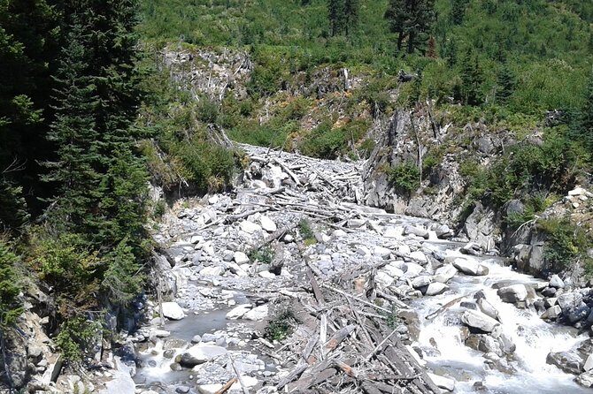 Mt Rainier Private Tour Experience in SUV - The Stops and Highlights