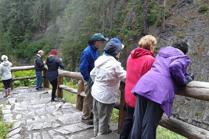 Mt Rainier Private Tour Experience in SUV - Practical Details