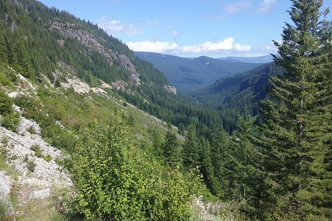 Mt Rainier Private Tour Experience in SUV - Final Thoughts