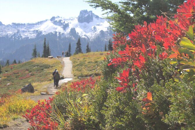 Mt. Rainier tour with Gandola ride at Sunrise and Paradise - Weather and Cancellation Policy