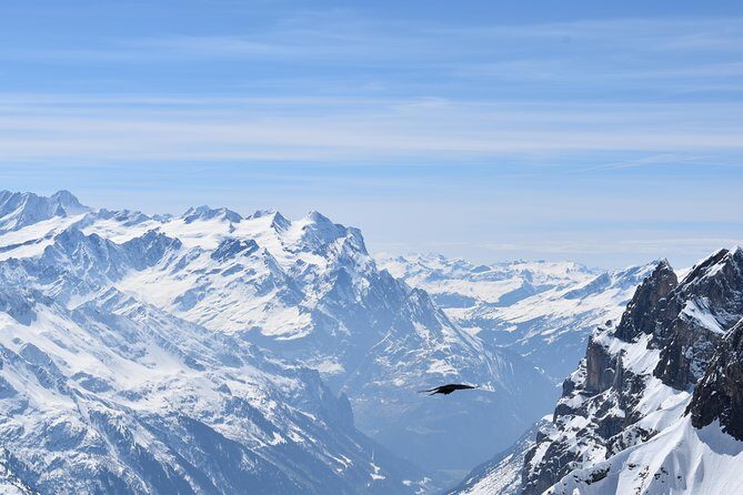 Mt. Titlis First Time Ski Experience from Zurich - What the Reviews Say