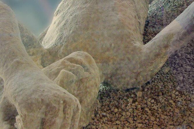 Mt Vesuvius and Pompeii Tour by Bus from Sorrento - FAQ