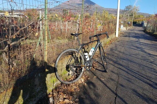 Mt Vesuvius E-Bike Tour - Who Is This Tour Best Suited For?