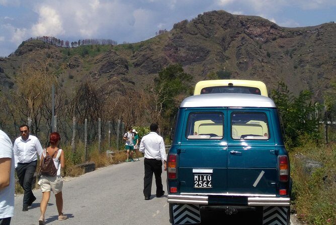 Mt. Vesuvius (Tour+Transfer) - Who Is This Tour Best For?