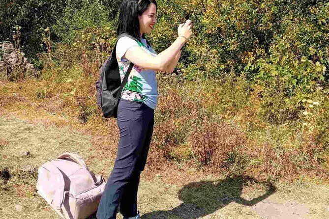 Mt. Vitosha and Boyana Waterfall Hiking Tour from Sofia - Key Points