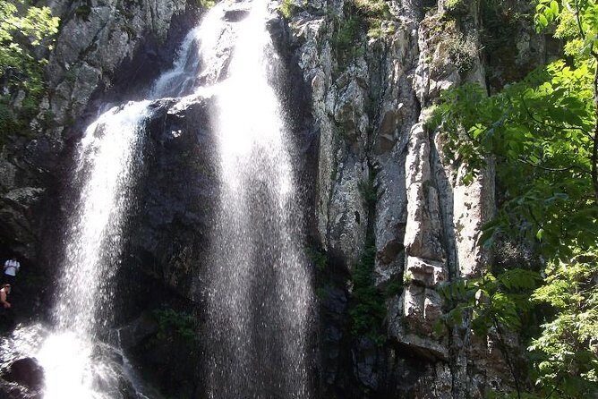 Mt. Vitosha and Boyana Waterfall Hiking Tour from Sofia - Final Thoughts