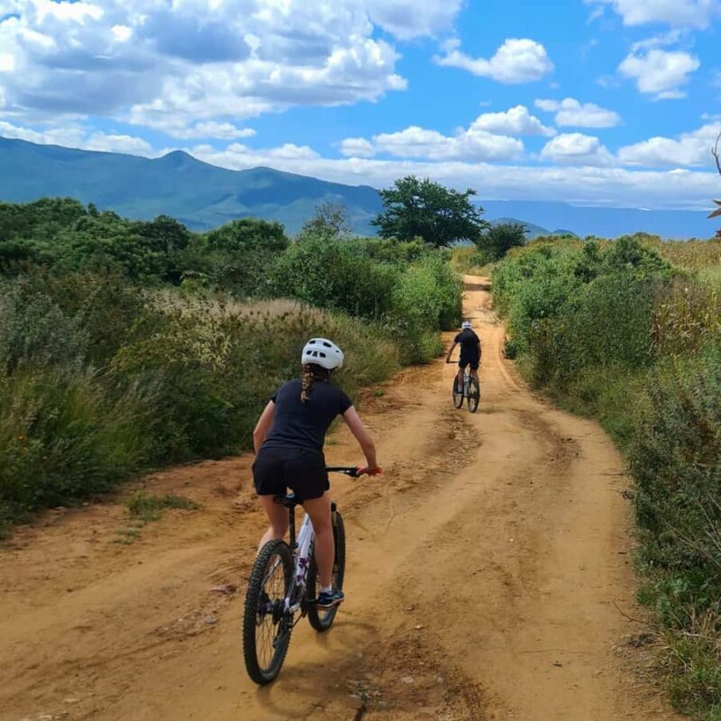 MTB Bike tour to the Monkey Tree + Bread Maker & Tule tree - Key Points