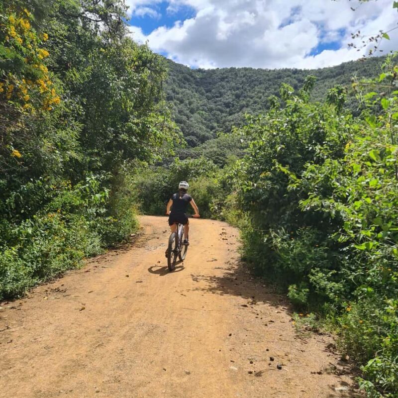 MTB Bike tour to the Monkey Tree + Bread Maker & Tule tree - What to Expect on the Tour
