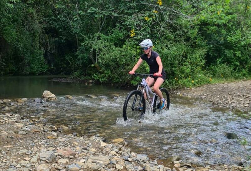 MTB Bike tour to the Monkey Tree + Bread Maker & Tule tree - Who Will Love This Tour