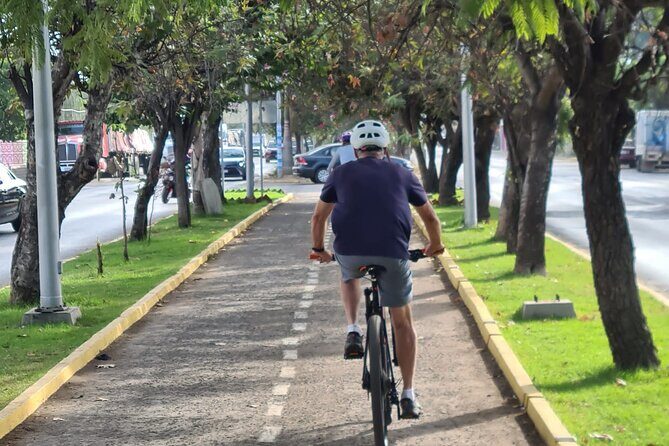 MTB Bike Tour: Tree of the Tule on mountain trails - Introduction to the MTB Bike Tour to the Tule Tree