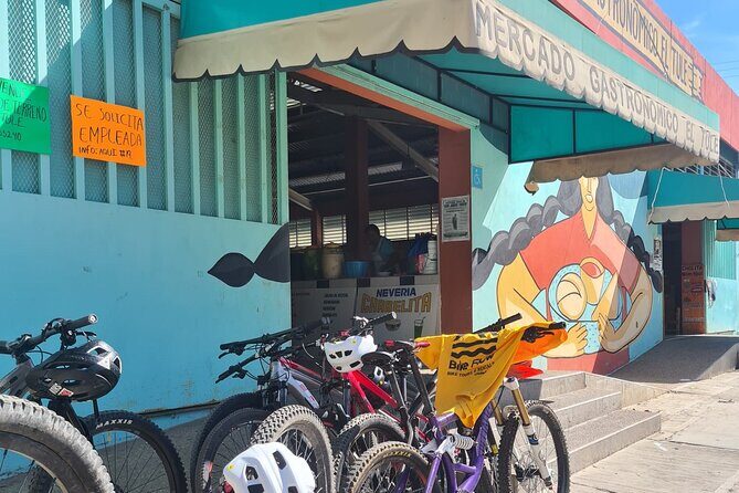 MTB Bike Tour: Tree of the Tule on mountain trails - Authentic Feedback from Travelers