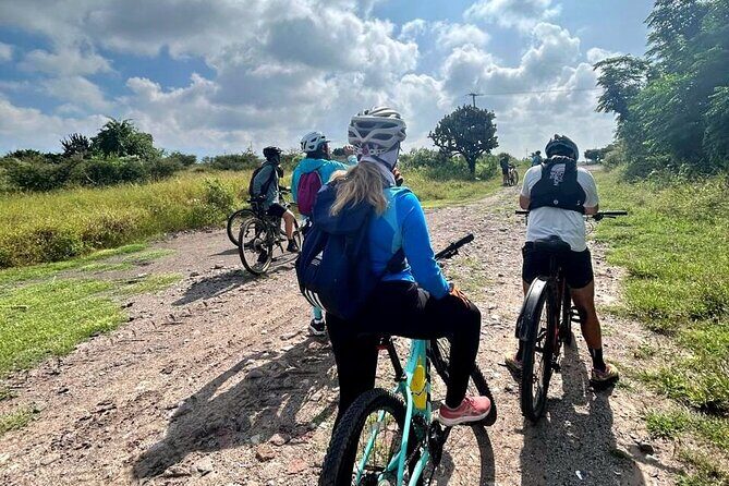 MTB Guided Ride, Tule Tree & Lake Half-Day - An Honest Look at the MTB Guided Ride, Tule Tree & Lake