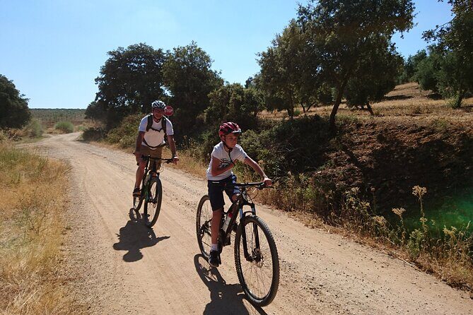 MTB (Self-Guided) Setenil de las Bodegas - 30km Easy - What to Expect from the Ride