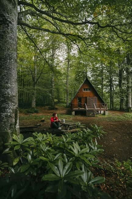 Mtirala National Park 2-Day Guided Hiking Tour from Kutaisi - Key Points