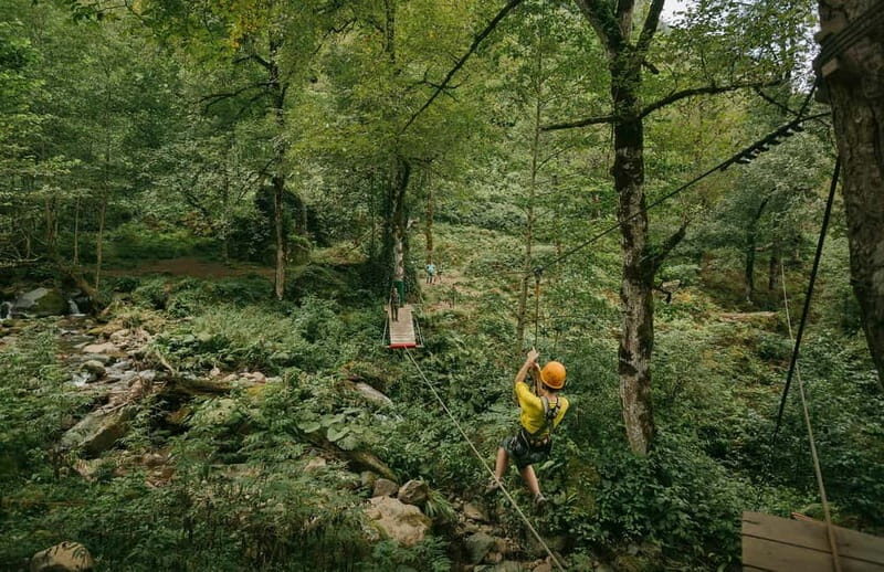 Mtirala National Park 2-Day Guided Hiking Tour from Kutaisi - An In-Depth Look at the 2-Day Tour