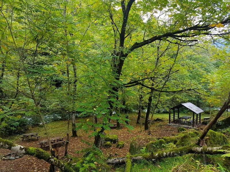 Mtirala National Park 2-Day Guided Hiking Tour from Kutaisi - Practical Tips for Participants