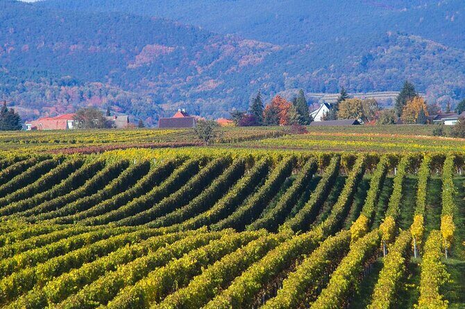 Mtskheta - Jvari Private Tour / UNESCO Sites - Who Should Consider This Tour?