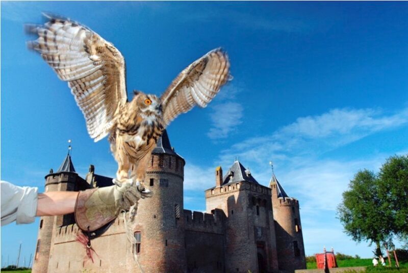 Muiden: Entry Ticket to Muiderslot Castle - Who Should Consider This Tour?