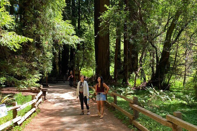 Muir Woods and Golden Gate Bridge 3-hour Private Group Tour - Transportation, Timing, and Group Size