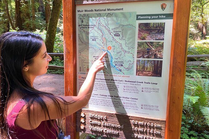 Muir Woods and Golden Gate Bridge 3-hour Private Group Tour - Pricing and Value