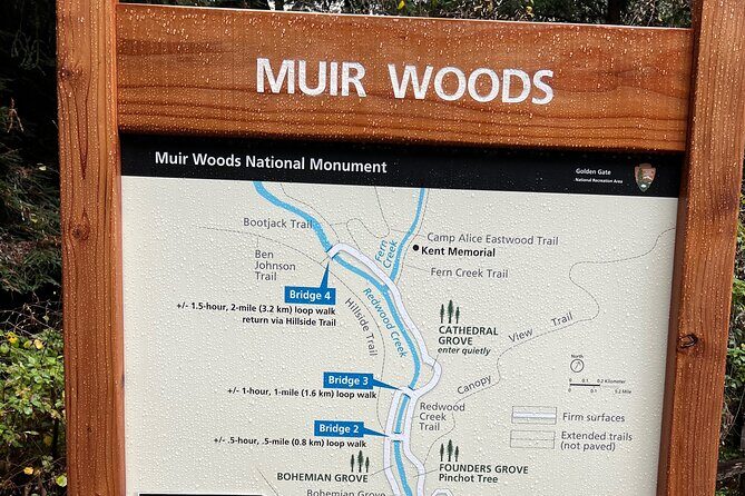 Muir Woods and Sausalito Private Tour - Key Points
