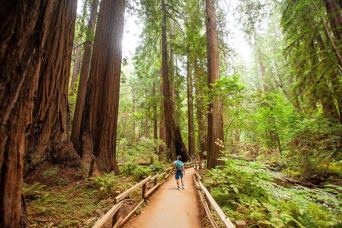 Muir Woods and Sausalito Tour Plus Bay Cruise - Who Should Consider This Tour?