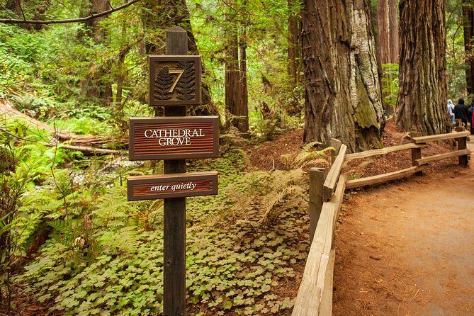 Muir Woods and Sausalito Tour Plus Bay Cruise - FAQs