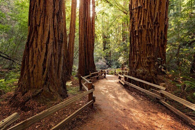 Muir Woods & Napa-8hr-Private Scenic Wine Tour From San Francisco - Key Points