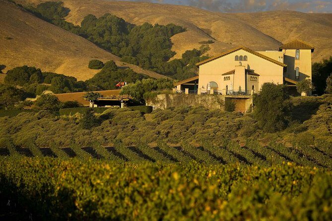 Muir Woods & Napa-8hr-Private Scenic Wine Tour From San Francisco - An In-Depth Look at the Itinerary