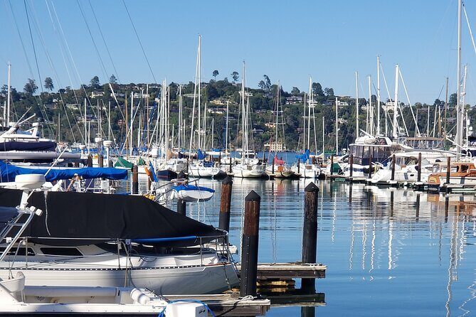 Muir Woods Sausalito Entry & Ferry to Fishermans Wharf included - Practical Details and Travel Tips