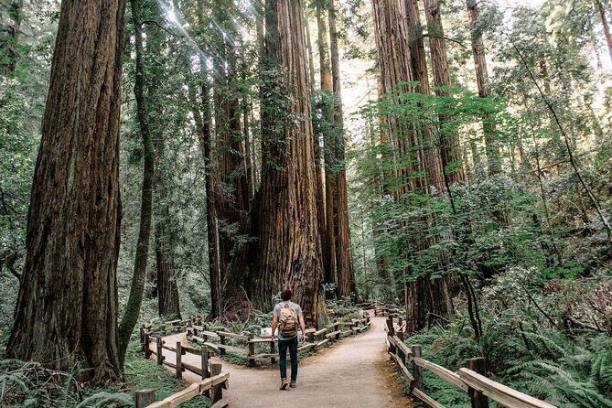 Muir Woods & Sausalito: Small Group Experience - Exploring the Muir Woods & Sausalito Small Group Tour: An Honest Look