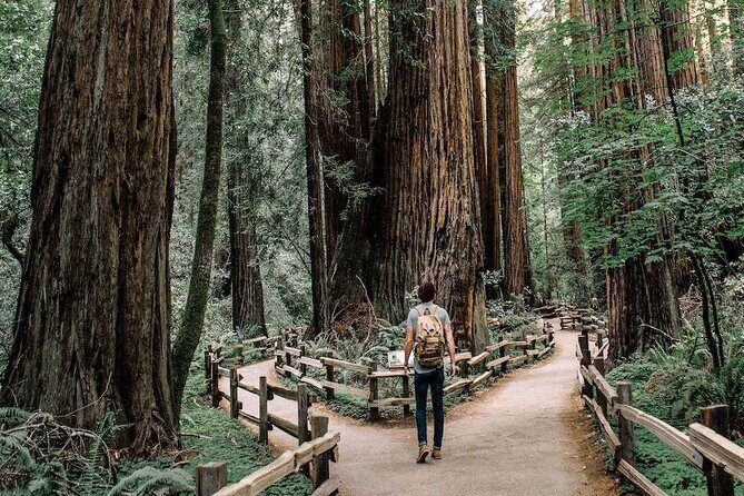 Muir Woods & Sausalito: Small Group Experience - The Value of This Tour