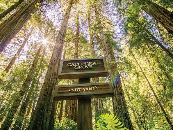 Muir Woods & Sausalito Tour - The Practical Side: Timing, Transportation, and Cost