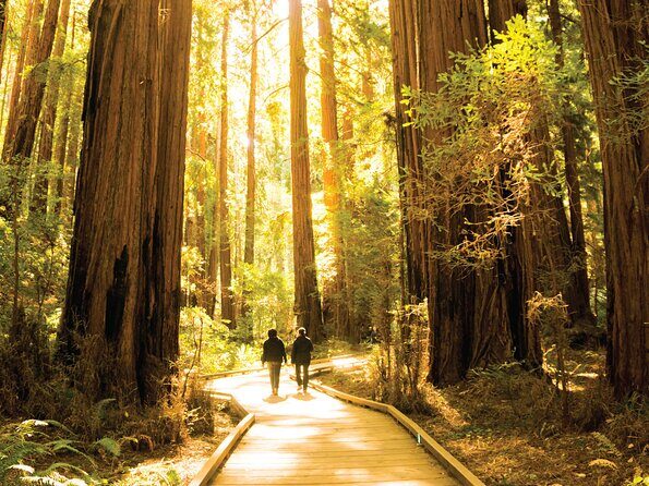 Muir Woods & Sausalito Tour - FAQ